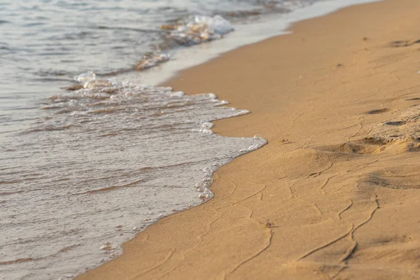 Winzige Krabbe am friedlichen Sandstrand — Stockfoto