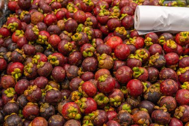 Tropikal meyve standında satılık mangosteen yığını