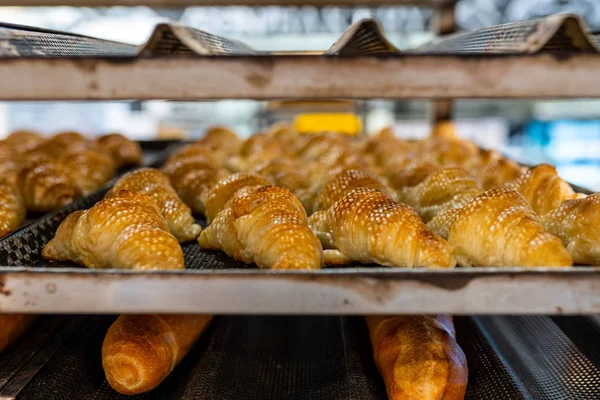Croissants recién horneados en el estante de enfriamiento en la fábrica de pasteles — Foto de Stock