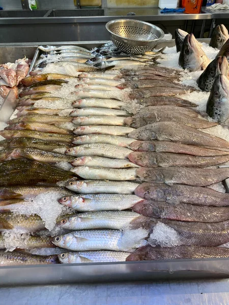Vertical photo of frozen fish on ice at seafood market — Stock Photo, Image