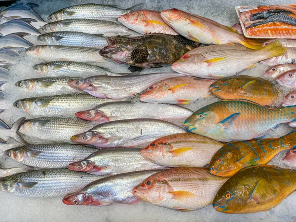Diverse vis goede regeling bevroren op ijs op vismarkt — Stockfoto