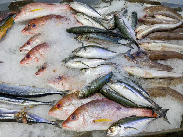 Assortiment van verse vis die wordt verkocht op de markt voor diepvriesproducten — Stockfoto