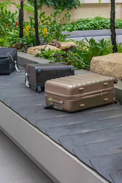 Suitcases on conveyor luggage belt in the airport — 스톡 사진