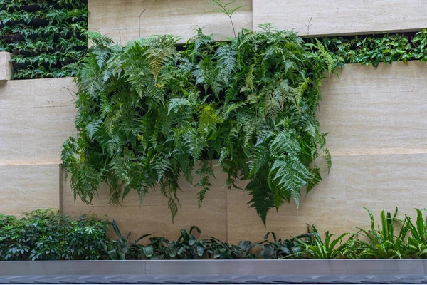 Botanic styled Changi airport decorated with tropical plants — Stock Photo, Image