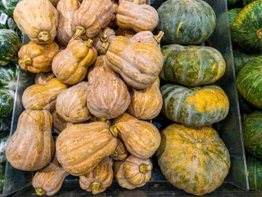 Asya 'daki markette satılık balkabağı yığını