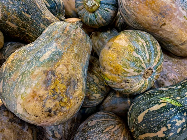 Un mucchio di zucche cinesi in vendita sul mercato — Foto Stock