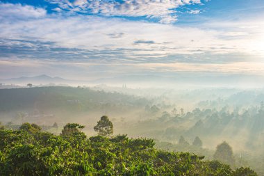 Güneşin doğuşunda sisli dağ manzarası