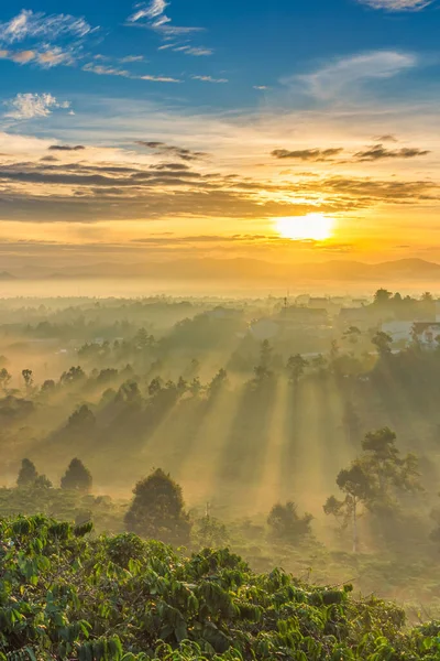 Κάθετη φωτογραφία του ομιχλώδη βουνό στην όμορφη ανατολή του ηλίου πρωί — Φωτογραφία Αρχείου