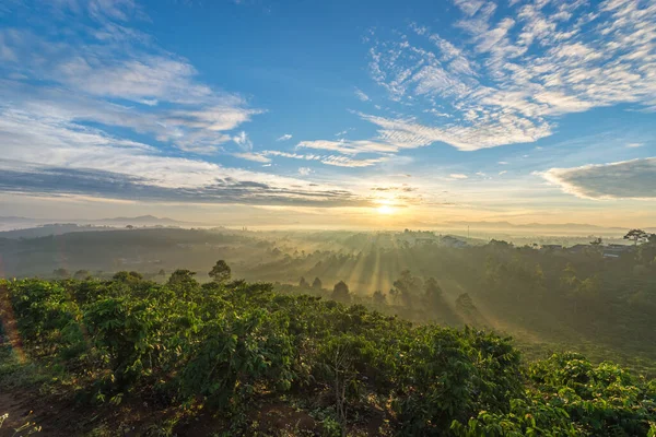 Foggy paysage de chaîne de montagnes à beau lever de soleil matin — Photo