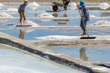 Phan Rang, Vietnam 'da deniz tuzu çiftliğinde çalışan insanlar.
