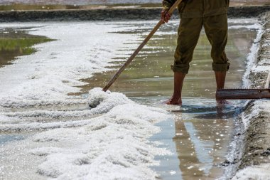 Vietnam, Phan Rang 'da deniz tuzu çiftliğinde çalışan bir çiftçi.