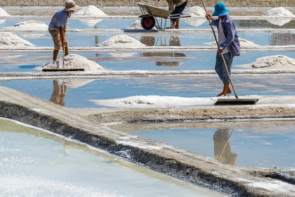 People working on sea salt farm in Phan Rang, Vietnam