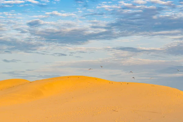 Duna de areia dourada e céu nublado para o conceito de fundo — Fotografia de Stock