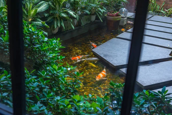 Beautiful Koi fish pond outside garden of a luxury house — Stock Photo, Image