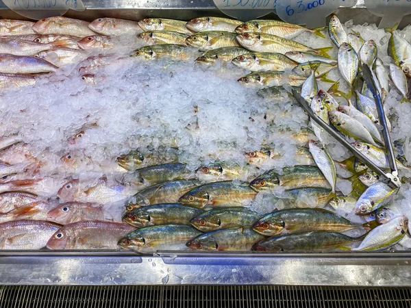 Rauwe bevroren vis te koop bij vissupermarkt — Stockfoto