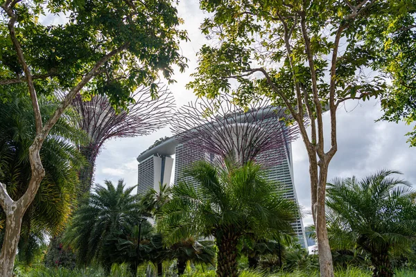 Edificio moderno y jardín artificial en Singapur — Foto de Stock