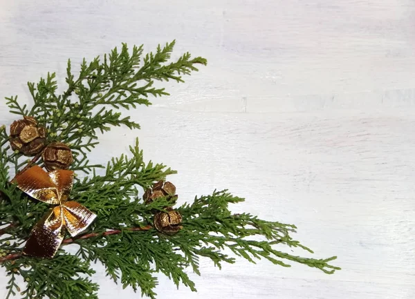 Weihnachten Holz Hintergrund mit getrockneten Orangen Früchte und Ananas — Stockfoto
