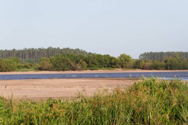 Yaz manzara yılında Federasyon il entre rios Arjantin şehrin nehir kıyısında