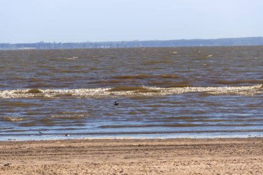 Yaz manzara yılında Federasyon il entre rios Arjantin şehrin nehir kıyısında