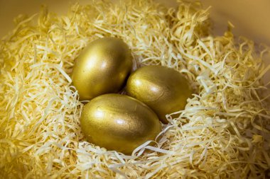 Yuva Paskalya yumurta altın tonlarda