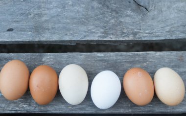 Dekoratif kenarlık rustik ahşap üzerine yumurta