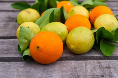 taze limon ve portakal bahçesinden rustik ahşap Dekoratif kenarlık