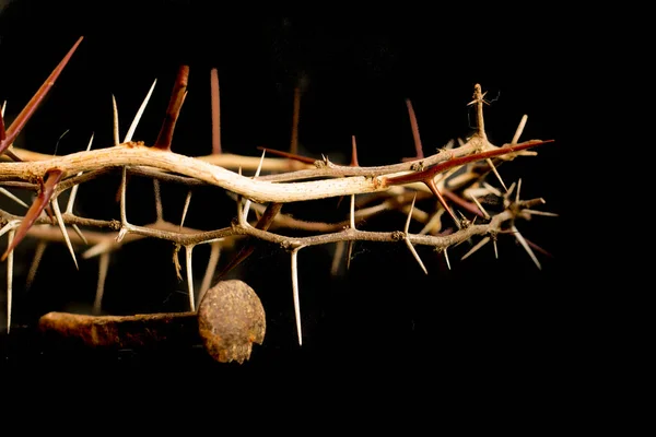 Coroa Espinhos Pregos Símbolos Crucificação Cristã Páscoa — Fotografia de Stock