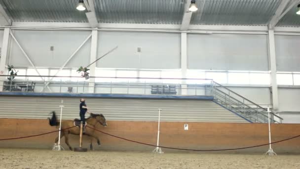 Jongeman acrobaten voeren paard — Stockvideo