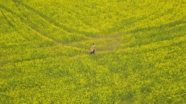 Woman walking in a flower field. — Stock Video