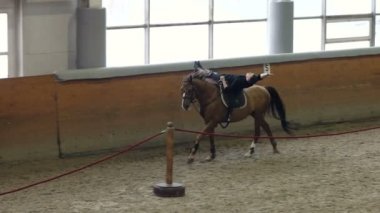 Bir binicilik arena bir adam hile. Adam atlı stunts yapıyor. Bir at yalan kişini.