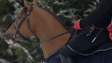 Erkekler güzel karlı kış manzara içinde büyük bir kahverengi at binicilik. Erkek binici ile çiftlik alanlar karlı yol boyunca büyük zarif aygır ile beyaz kışın cantering .