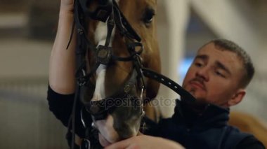 Ata dizgin ahbap. Kahverengi ata dizgin koyarak adam. Yakın çekim.