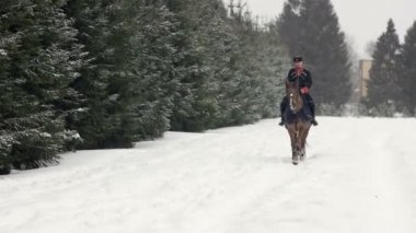 Erkekler güzel karlı kış manzara içinde büyük bir kahverengi at binicilik. Erkek binici ile çiftlik alanlar karlı yol boyunca büyük zarif aygır ile beyaz kışın cantering .