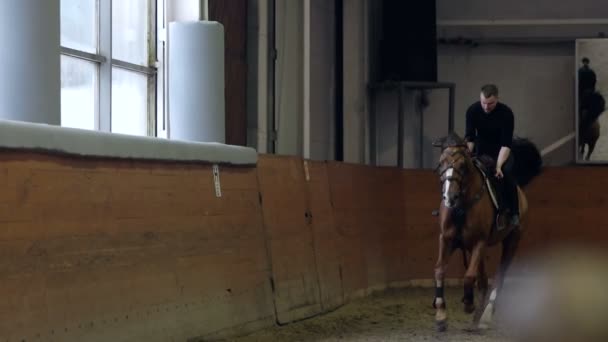 Ein Mann, der Kunststücke reitet und auf dem Pferd springt. ein Mann, der kopfüber auf einem Pferd reitet. — Stockvideo