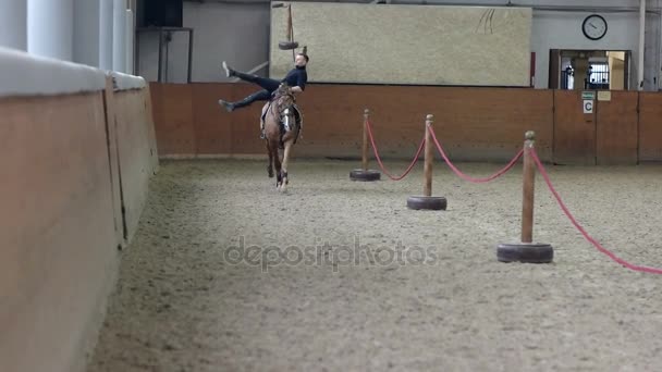 En människa trick rider en häst på arena. Man gör stunts på hästryggen. Man rider en häst liggande. — Stockvideo