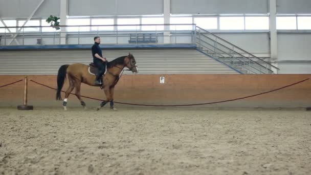 Un uomo che cavalca un cavallo marrone intorno all'arena. . Don razza equina . — Video Stock