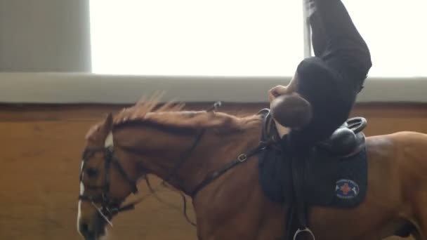 En man rider knep och valven på häst. En man rider en häst uppochner. — Stockvideo
