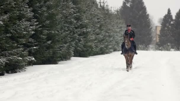 Mężczyzn jazda konna duży brązowy koń w piękny zimowy śnieżny krajobraz. Mężczyzn rider cantering z duży elegancki Ogier po drodze snowy przez pola ranczo w biały zima . — Wideo stockowe