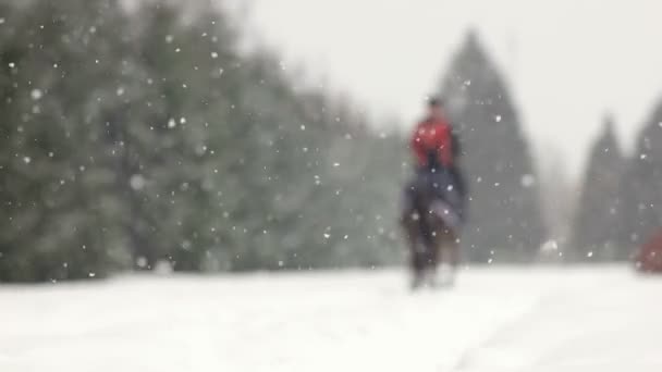 Män ridning en stor brun häst i vackra snöiga vinterlandskap. Manliga ryttare cantering med stor elegant hingst längs snöiga vägen genom fälten ranch i vit vinter . — Stockvideo