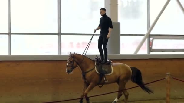Ein Mann reitet auf einem braunen Pferd durch die Arena. Der Mensch vollführt Kunststücke zu Pferd. Voltigieren. Trickserei. Reiten auf dem Pferd. — Stockvideo