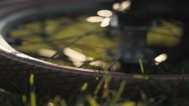 Велосипедные колеса лежат на зеленой траве вблизи. Велосипед лежит на траве — стоковое видео