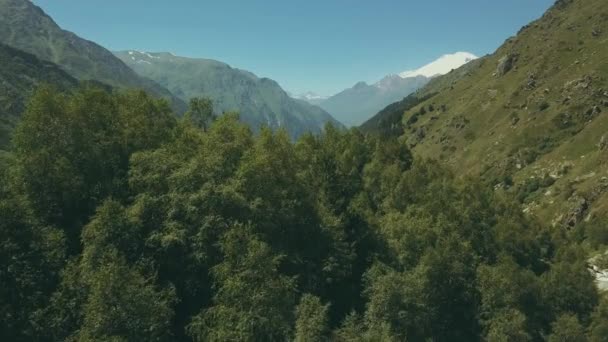 Luftaufnahmen aus dem fliegenden Drohnen-Bergwald. Blick auf hohe Berggipfel — Stockvideo