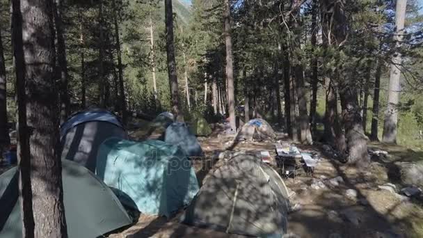 Seyahat ve vahşi doğa dron görünümü yürüyüş sırasında yaz ormanda kamp çadırı — Stok video