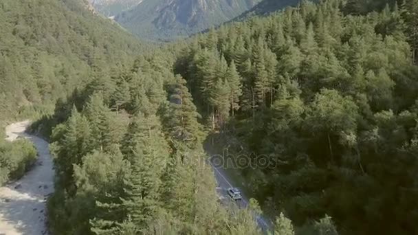 Auto in movimento su autostrada tra foreste verdi. Vista aerea auto guida in periferia — Video Stock