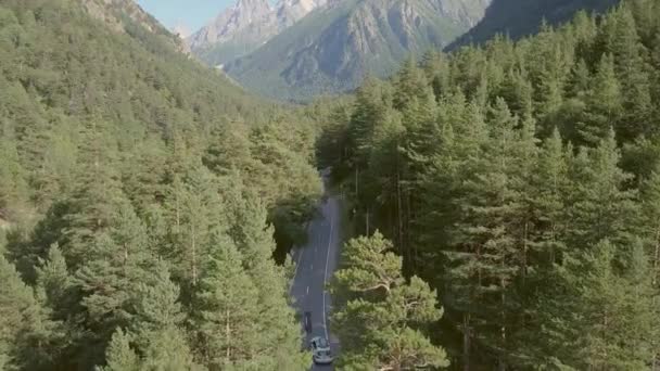 Widok z lotu ptaka samochodem wzdłuż drogi wśród zielonych lasów na tle góry — Wideo stockowe