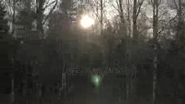 Vista desde la luz del sol del coche a través del bosque de otoño en la carretera suburbana en el día soleado — Vídeos de Stock