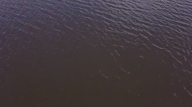 Drone görünümü su yüzey nehir. Dalgalar üzerinde yüzey nehir havadan görünümü. Panoramik su yüzey Nehri