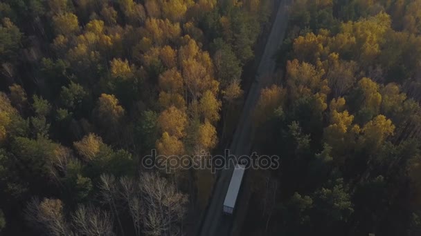 Κηφήνας προβολή φορτηγό αυτοκίνητο κινείται στον αυτοκινητόδρομο μέσα φθινόπωρο δάσος — Αρχείο Βίντεο