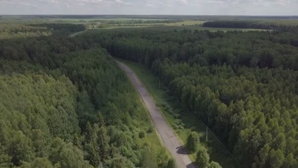 Una strada vuota nel bosco. Volo sopra il fiume. Paesaggio aereo — Video Stock