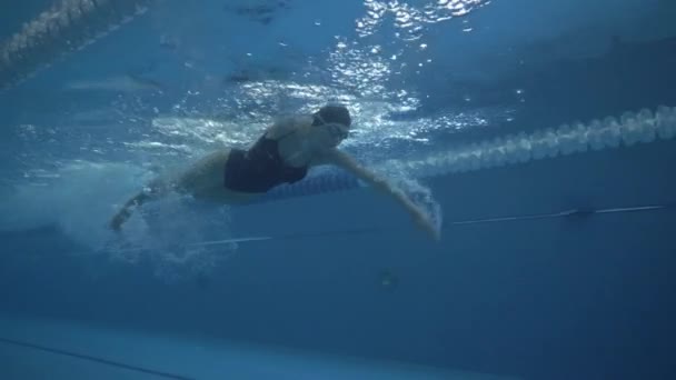 Nadadora hembra nada arrastrarse golpe en camino de natación en piscina de agua transparente — Vídeos de Stock